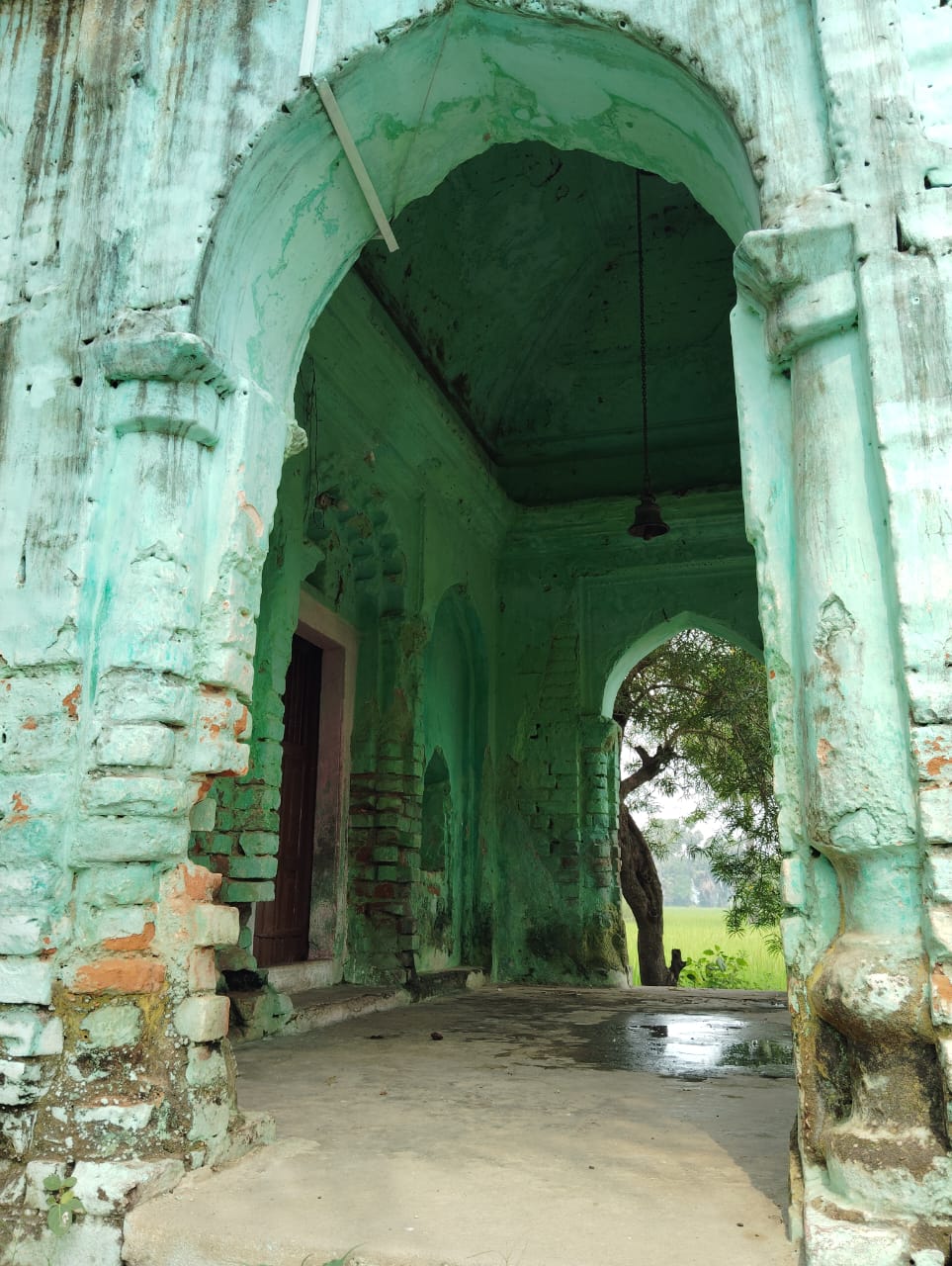 Campaign image 5