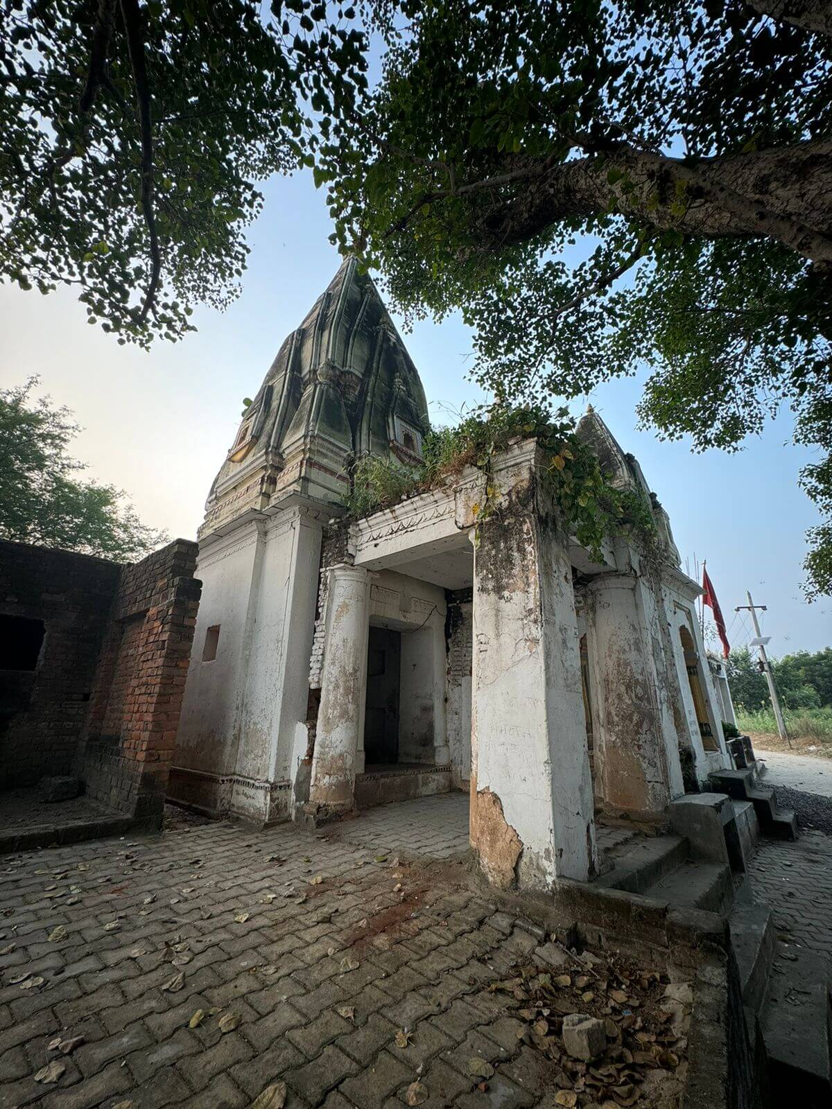 Campaign image 6