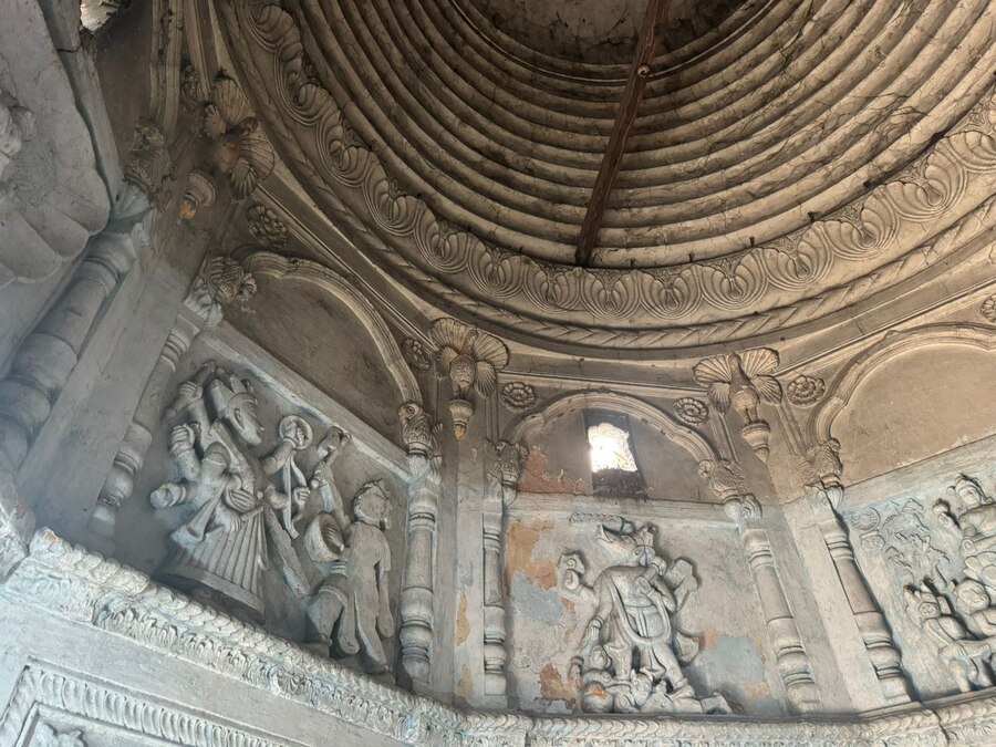 Campaign image 5
