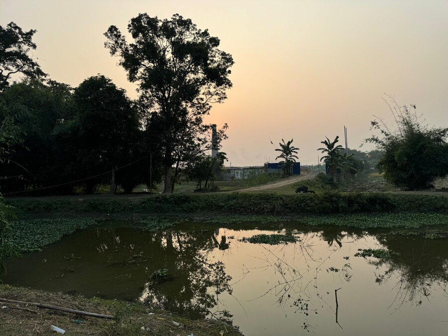 Campaign image 9