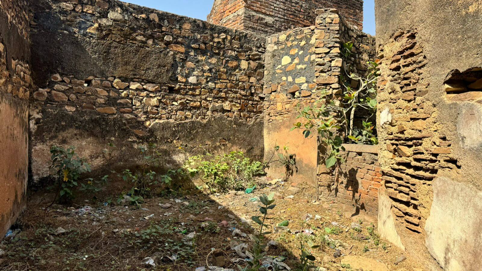 Campaign image 7