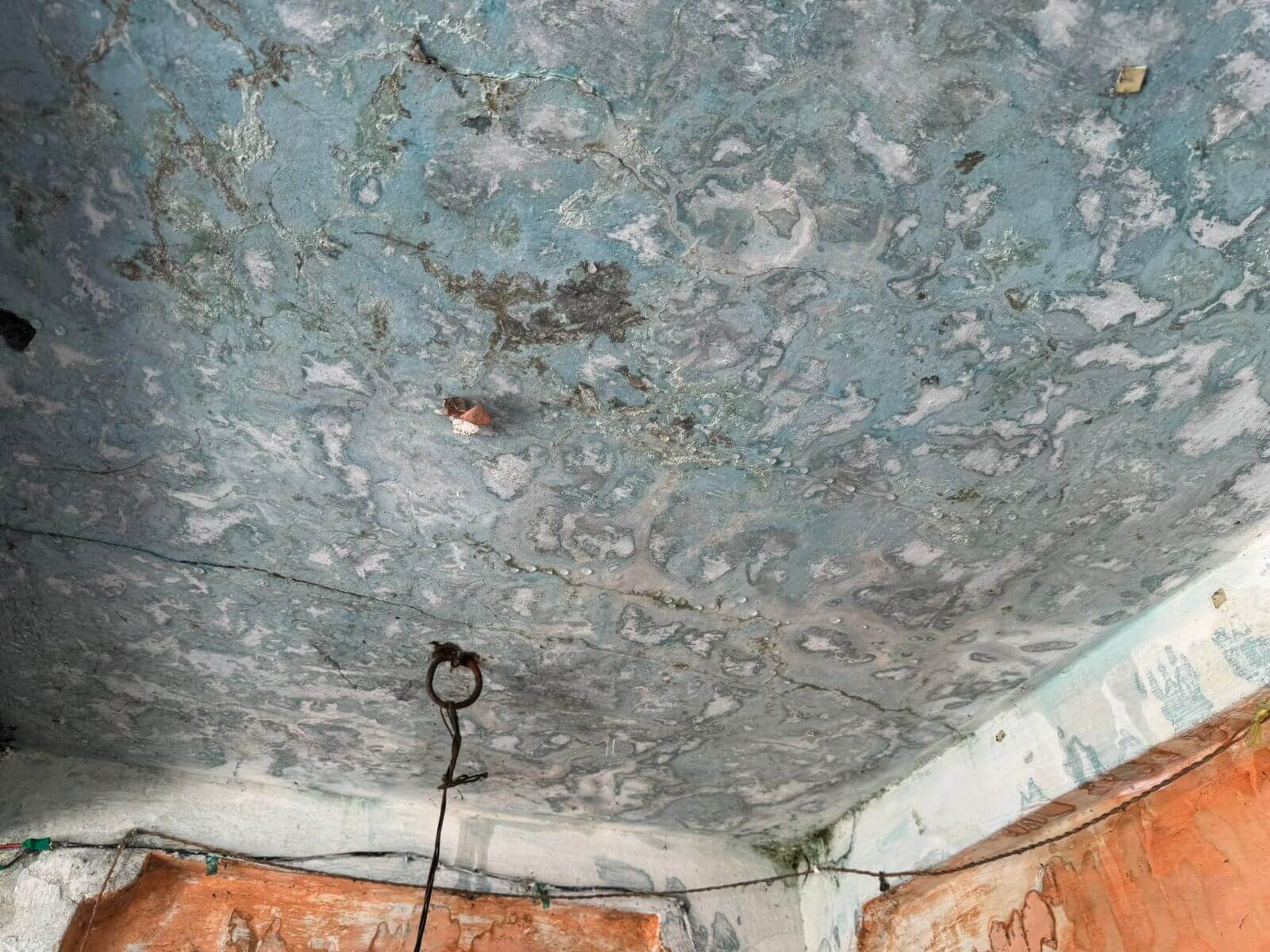 Campaign image 6