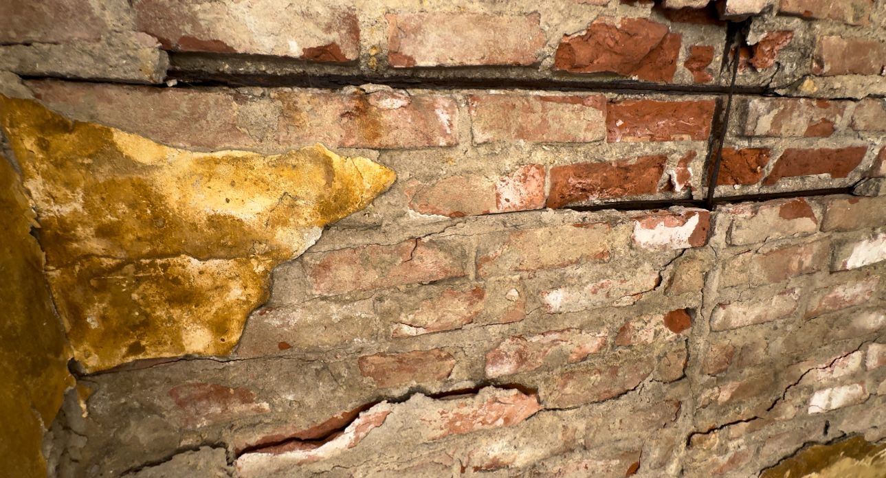 Campaign image 3