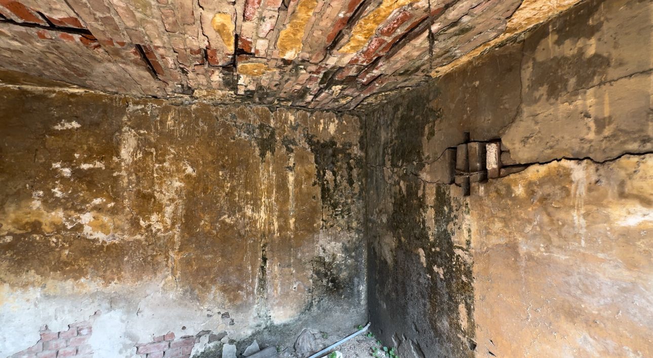 Campaign image 5