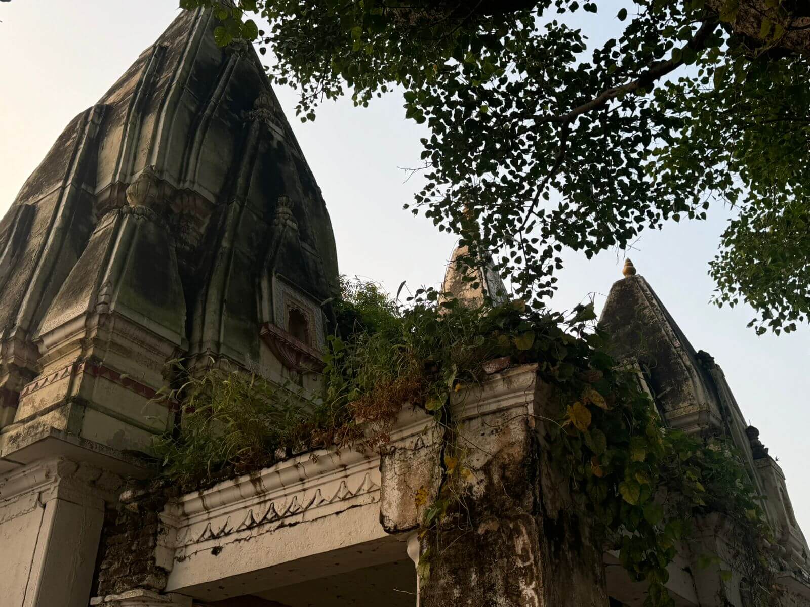 Campaign image 7