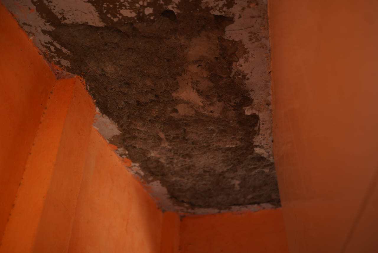 Campaign image 6